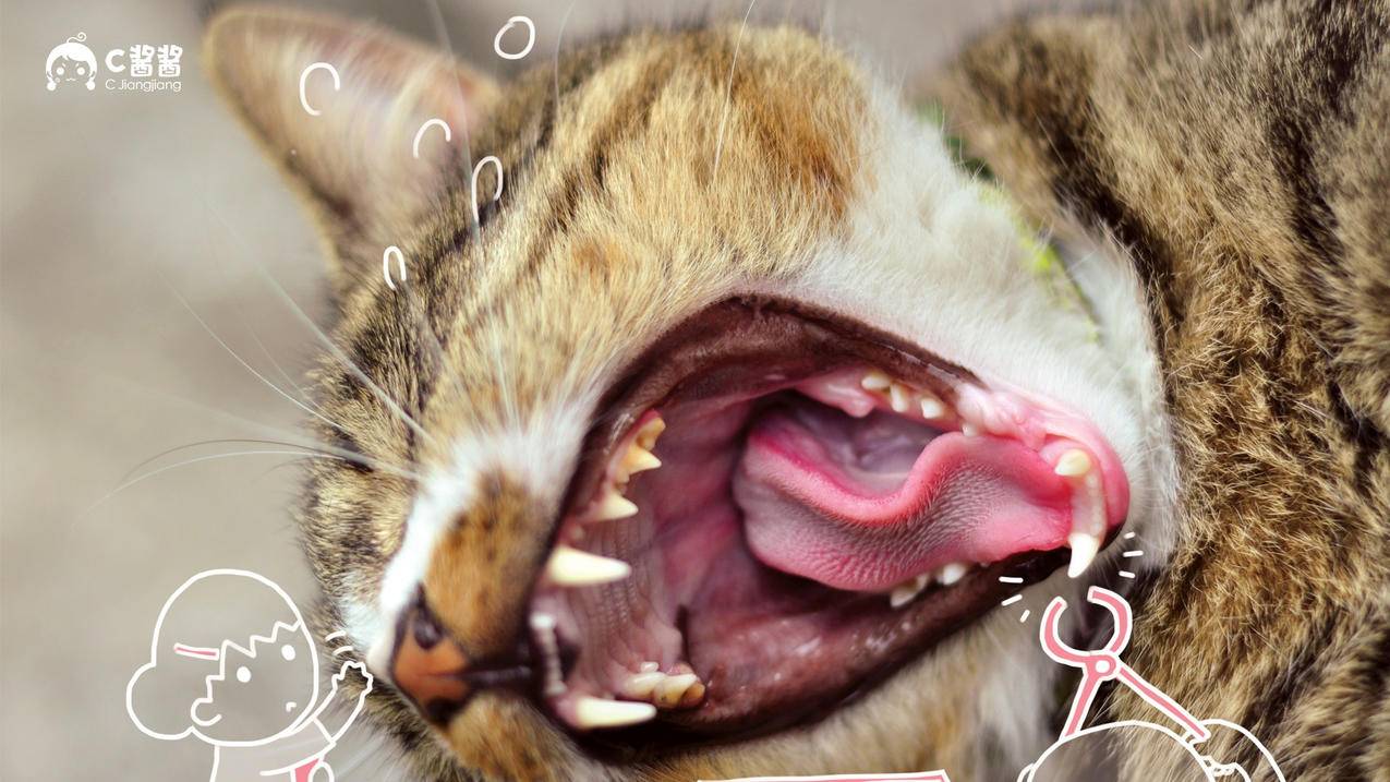 天华业务自助下单平台 - 2017qq刷空间赞软件-抖音打榜代刷