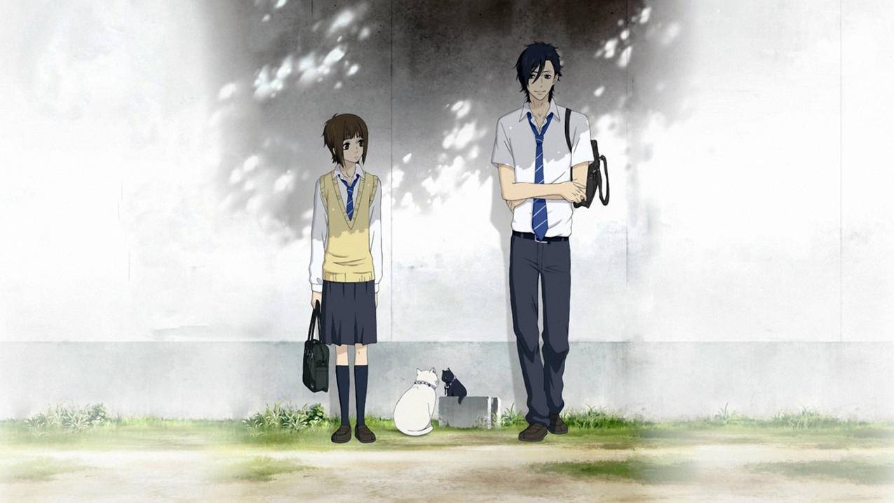 苹果手机忘记密码下载不了东西怎么办 ， 苹果手机密码忘了怎么下载东西  - 55dz账号网