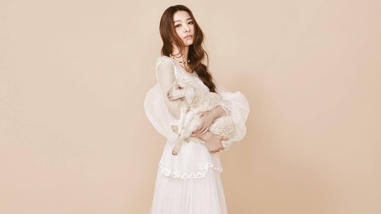 facebook聊天怎么翻译成中文_facebook能翻译吗 - facebook相关 - 55dz账号网