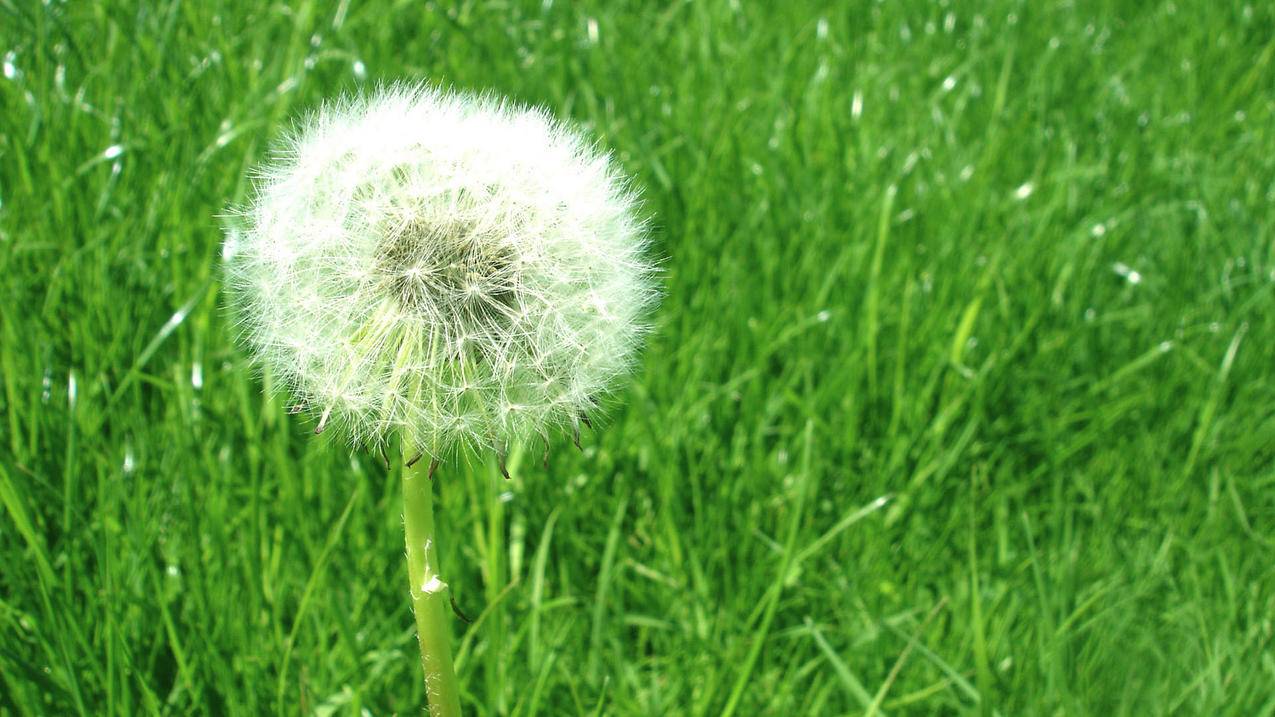 ins相机教程苹果_苹果ins视频教程 - INS相关 - 55dz账号网