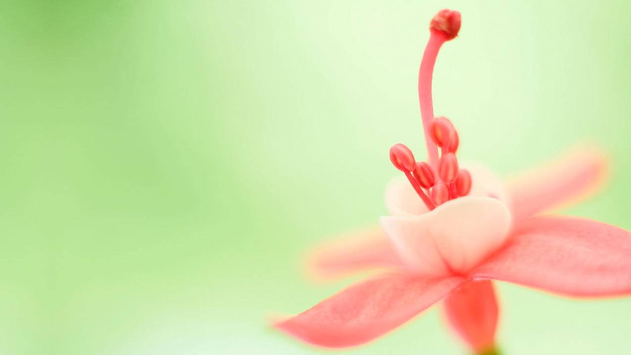 ins欧美风风潮_ins欧美风格 - INS相关 - 55dz账号网