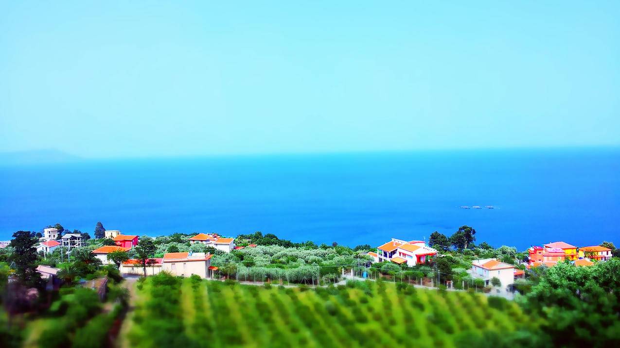 拼多多砍价地址怎么删除-dy业务网