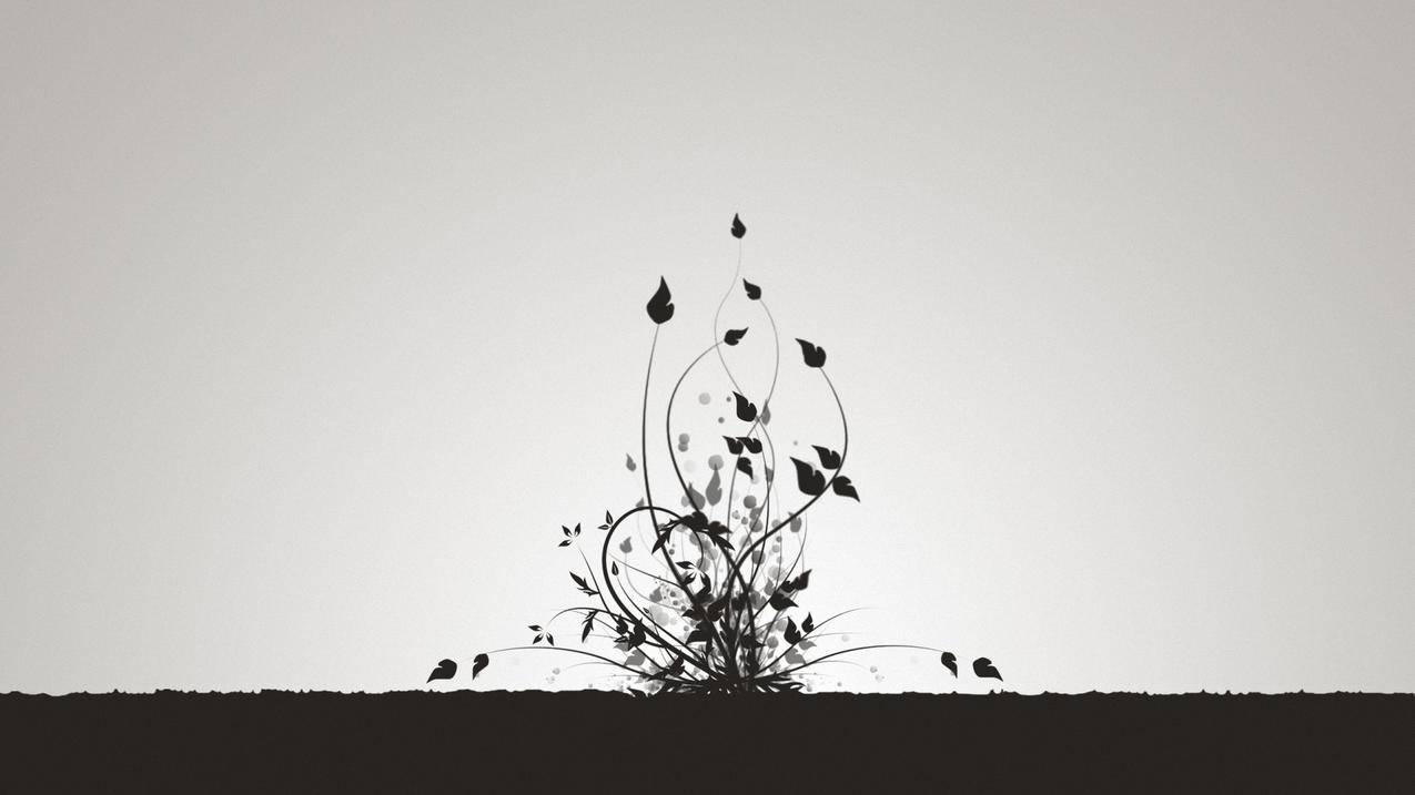 苹果id账号创建的电子邮箱怎样才正确 ， 我申请的苹果帐号的邮箱格式怎么不对啊!  - 55dz账号网