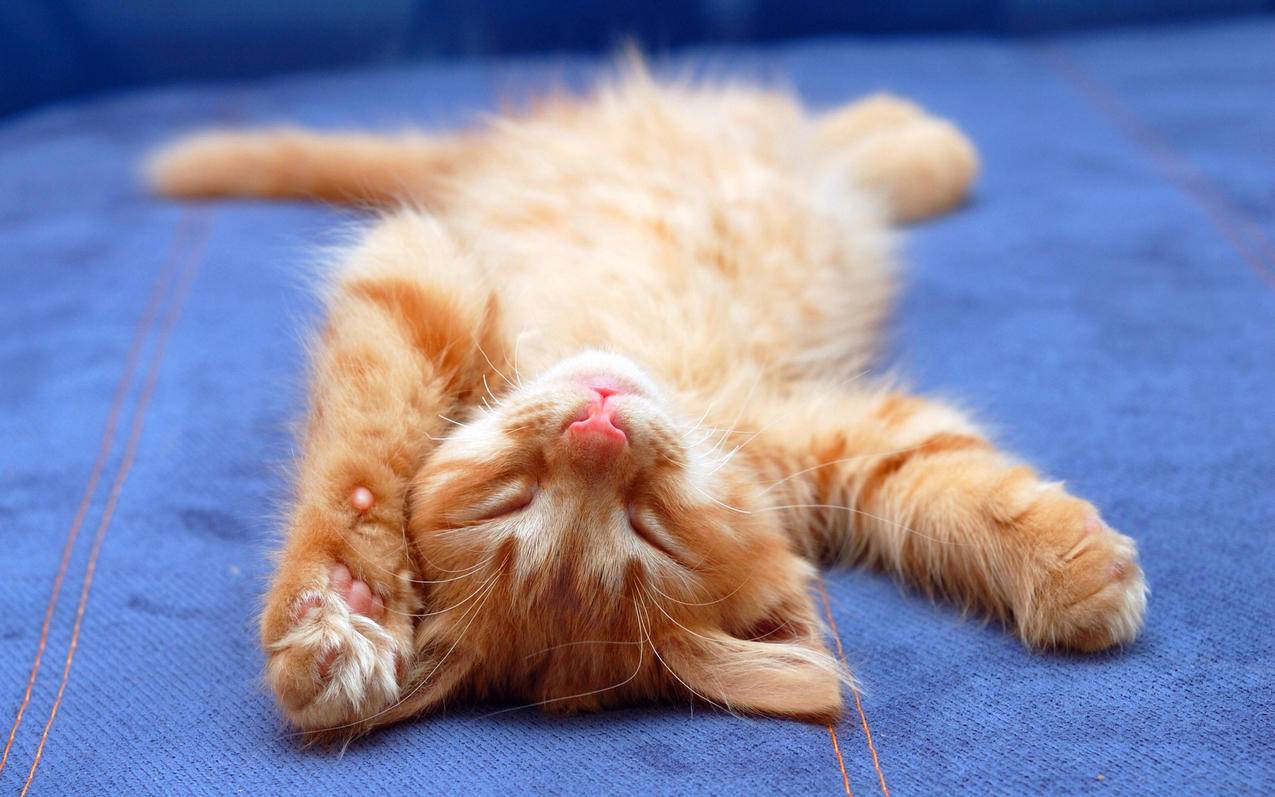 苹果id换绑定手机号用于其他手机_苹果id可以换手机号绑定吗 - 各区苹果ID - 55dz账号网