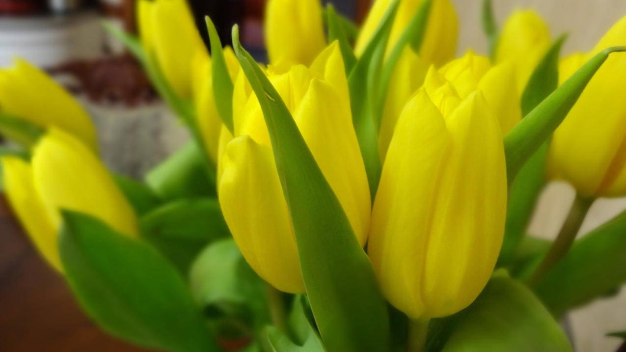 sky光遇国际版ios怎么下载_sky光遇国际版下载iOS - skype相关 - 55dz账号网