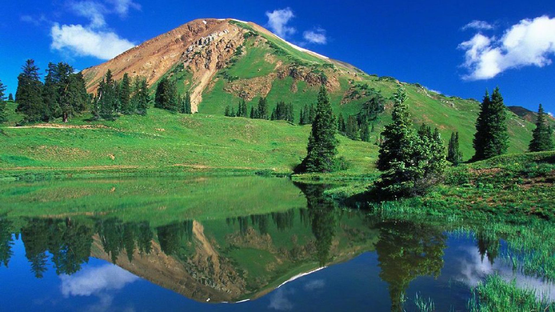 酷狗关注粉丝代刷网 - 快手免费刷100个赞网站,一元一百个双击