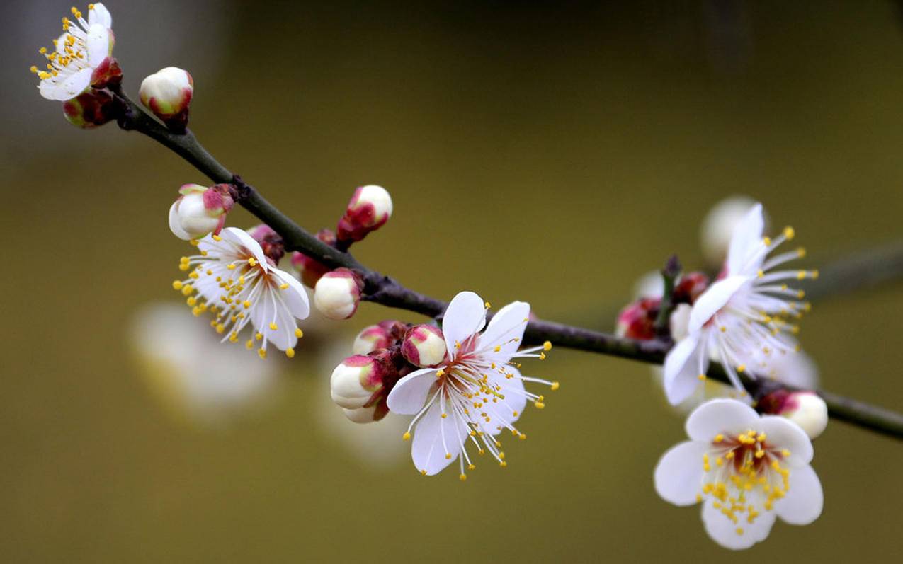 朴彩英删ins照片_朴彩英ins最新图片 - INS相关 - 55dz账号网