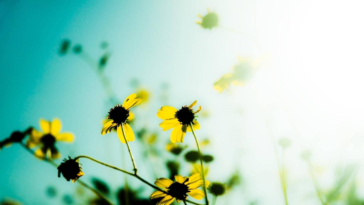 ffbe日服攻略_FFBE日服 - 日本苹果ID - 55dz账号网