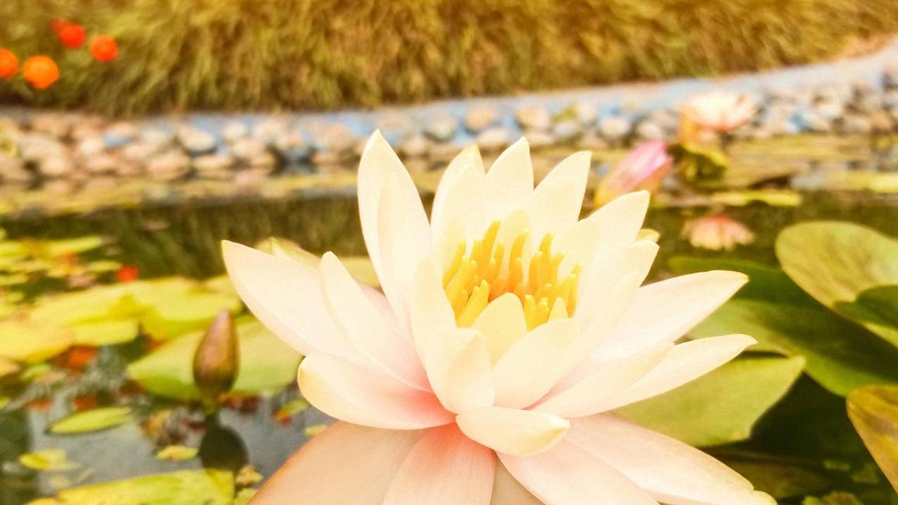 注册了个美国的Apple ID有什么影响吗? ， 国内iPhone登录海外Apple ID(iCloud)会怎样?  - 55dz账号网