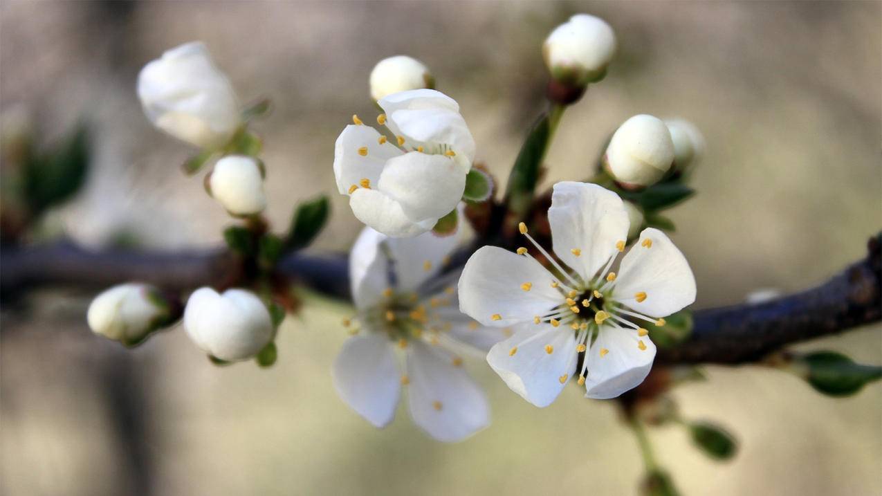 ins夜间模式设置_ins 设置 - INS相关 - 55dz账号网