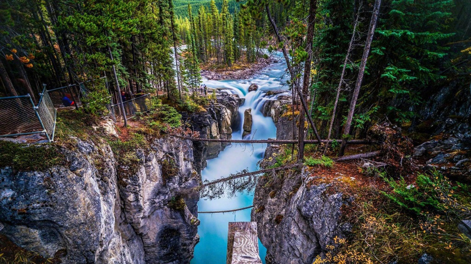 华为怎么下载facebook软件_华为能下载facebook吗 - facebook相关 - 55dz账号网