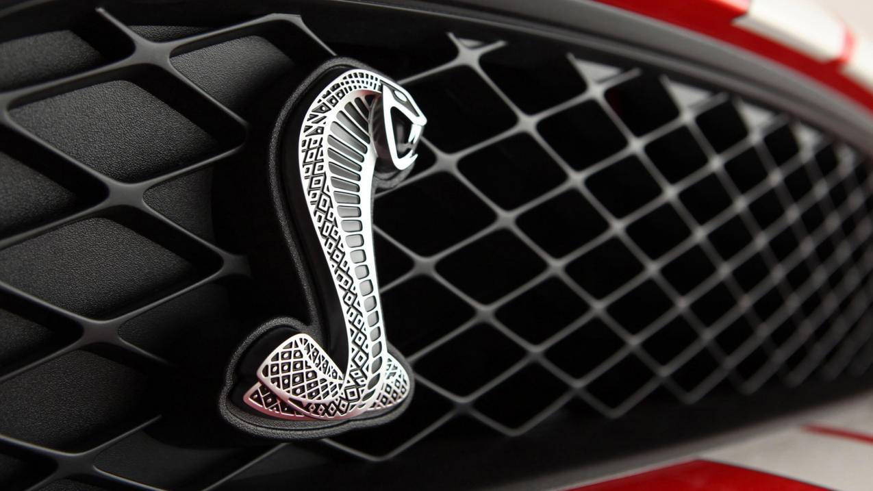 CS和CF哪个好玩  ( 单机游戏 要塞 有几个版本 介绍一下各个版本的特色 哪个最好玩 ) - 55dz账号网