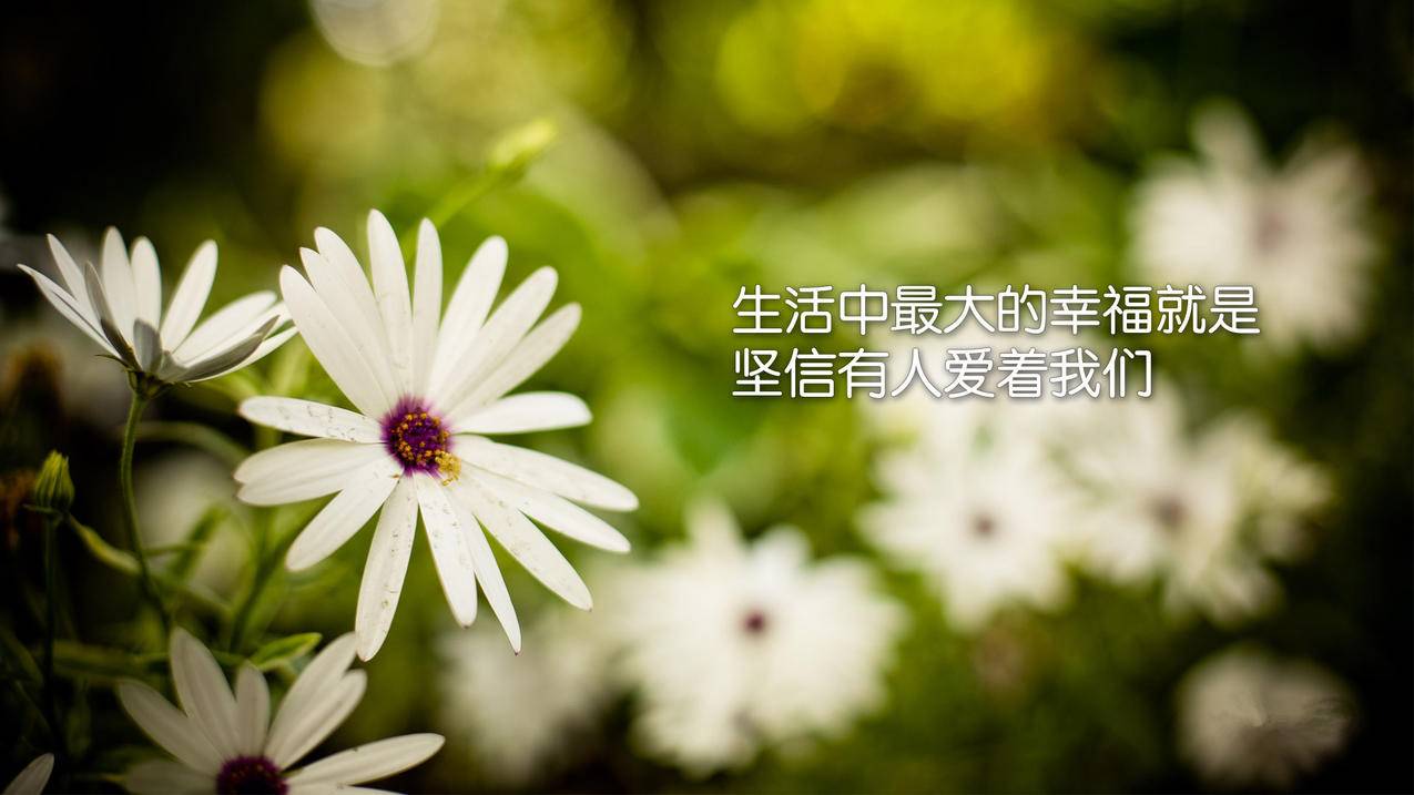 facebook怎么兑换积分_Facebook怎么充值 - facebook相关 - 55dz账号网