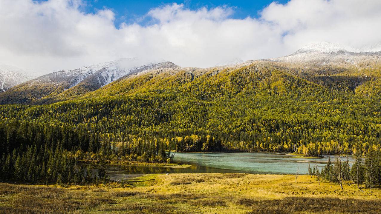 nba2kol王朝内切pf_nba2kol王朝内切c战术 - IOS分享 - 55dz账号网