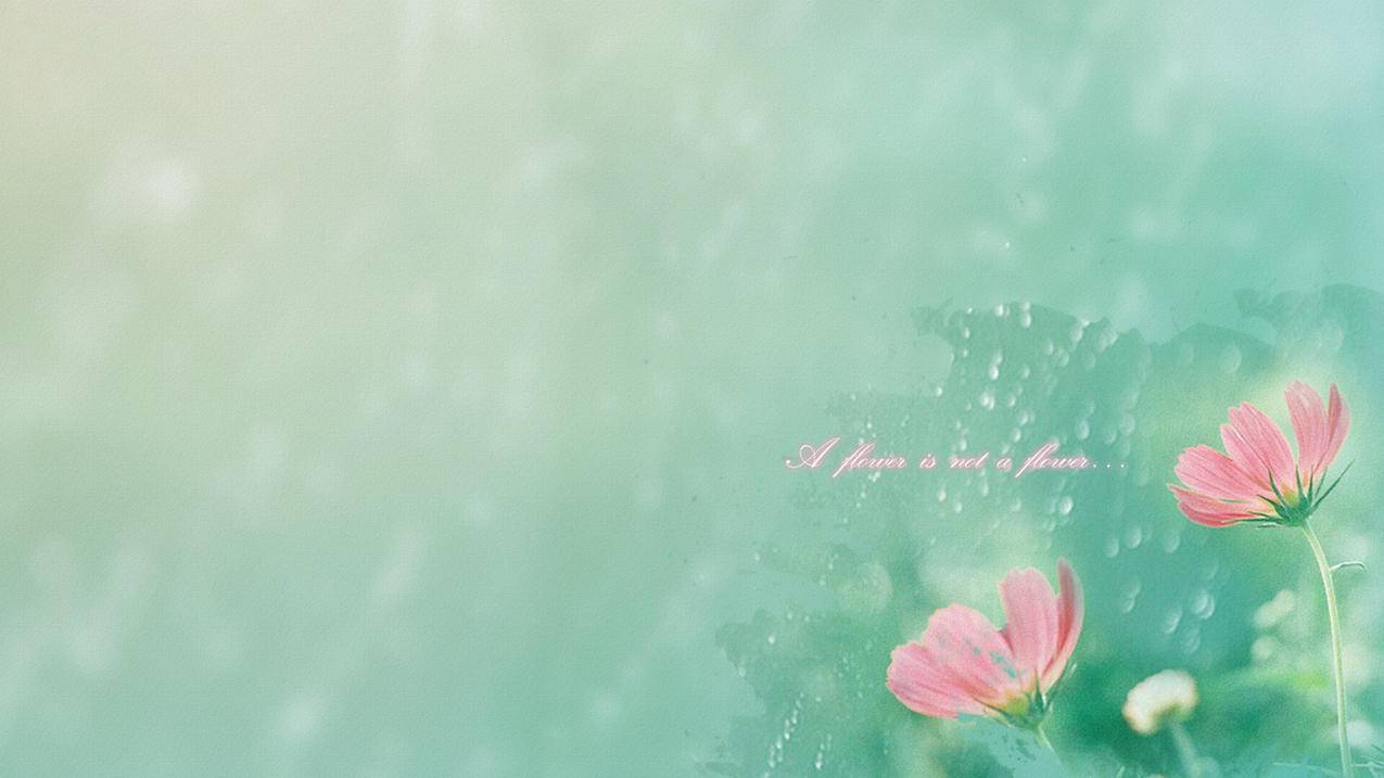 为啥我的苹果id登陆iCloud显示无法验证呢? ， 为什么我的苹果id验证失败?  - 55dz账号网