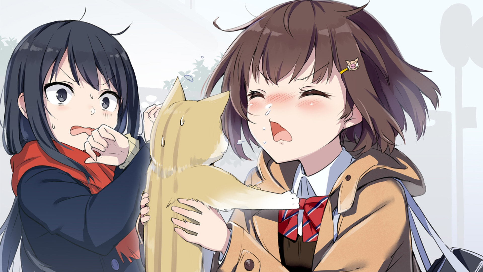 苹果平板忘记越南apple id密码怎么办（苹果平板忘记越南apple id密码怎么办） - 各区苹果ID - 55dz账号网