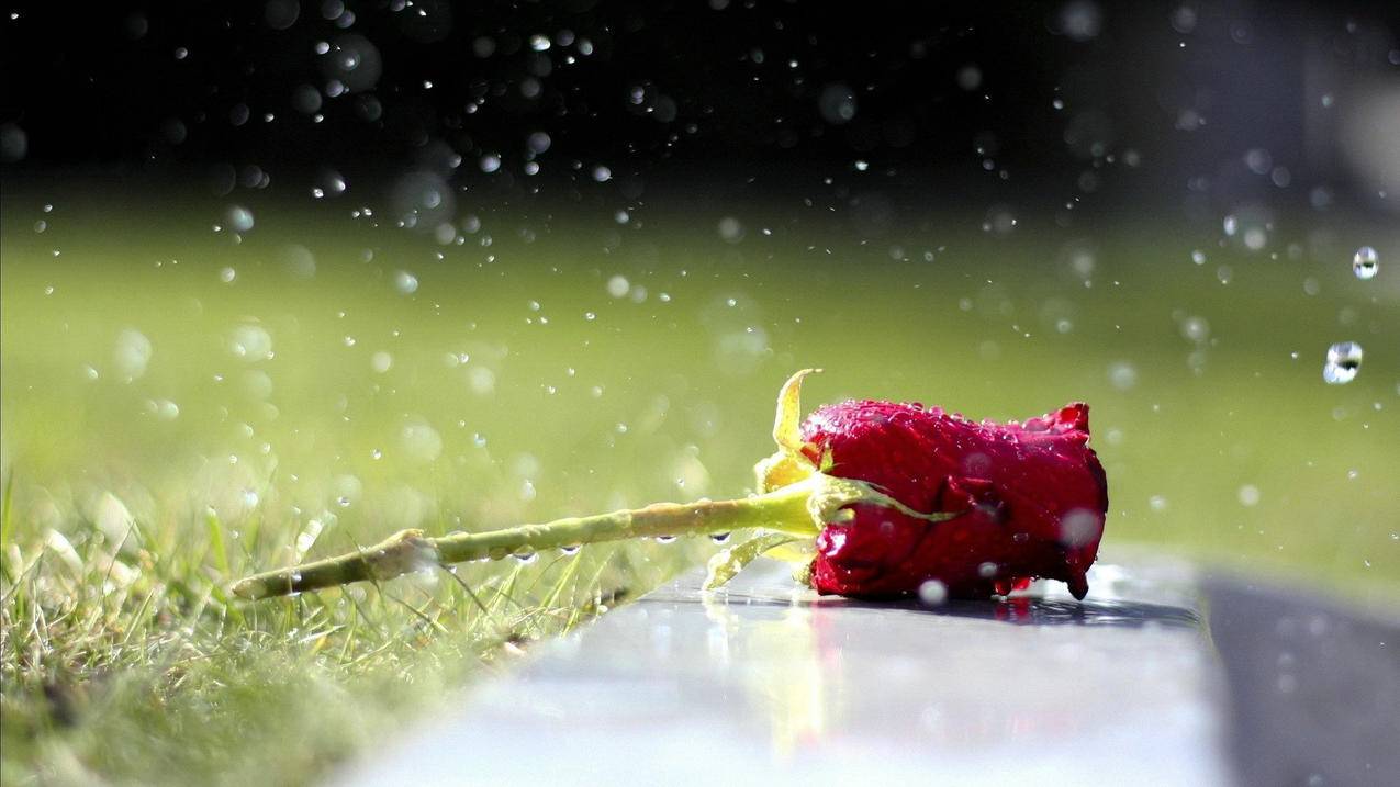 使用此iphone解锁您的美国appleid账户是被盗了吗_使用此iphone解锁你的apple id 账户 - 美国苹果ID - 55dz账号网