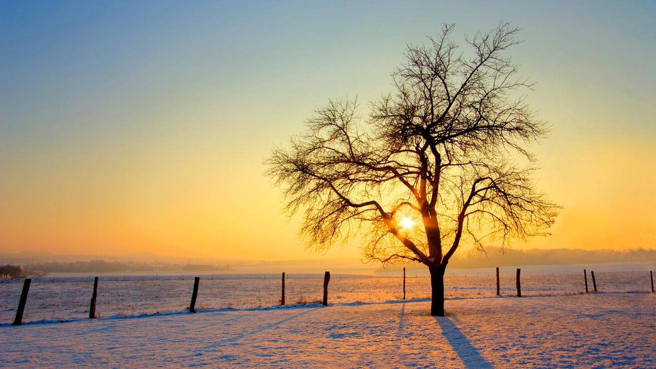 为什么网页没有声音 探究网页声音的原因及解决方案?  ( 推特网页版怎么调声音 ) - 55dz账号网