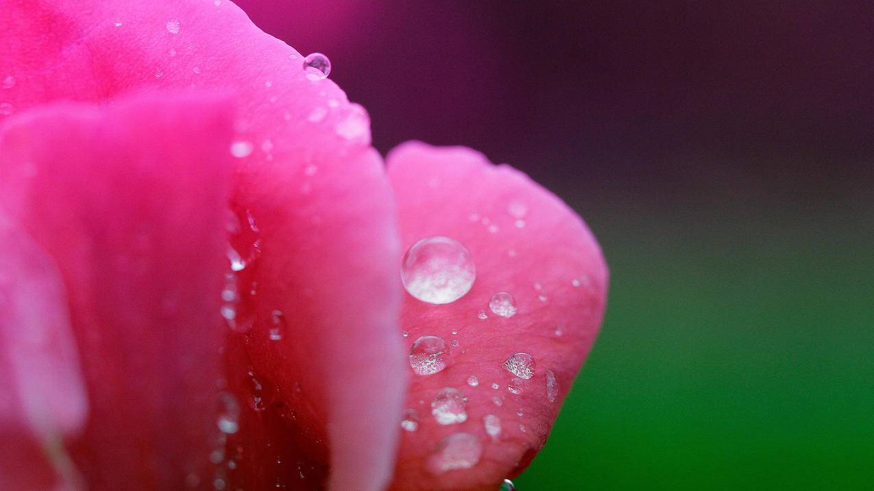 香港苹果id的密码正确格式是什么_苹果香港id账号及密码大全 - 香港苹果ID - 55dz账号网