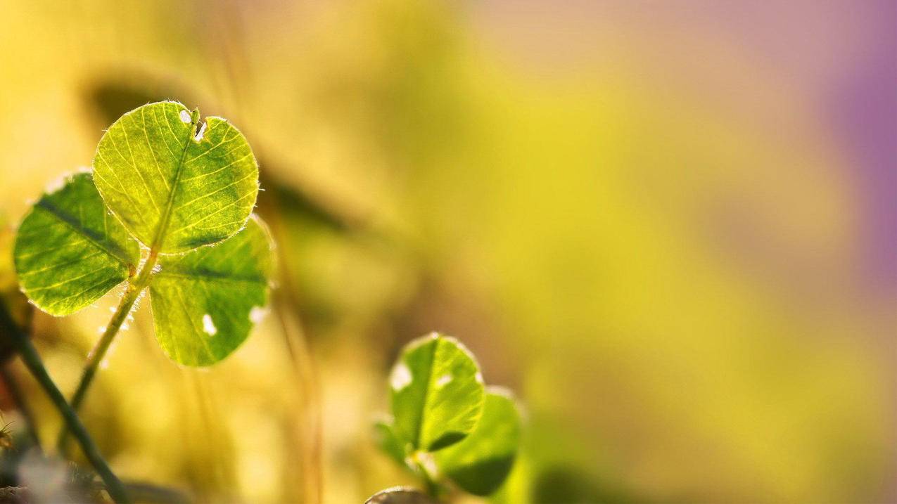 appleid改地区不能下载_appleid可以修改地区吗 - 各区苹果ID - 55dz账号网