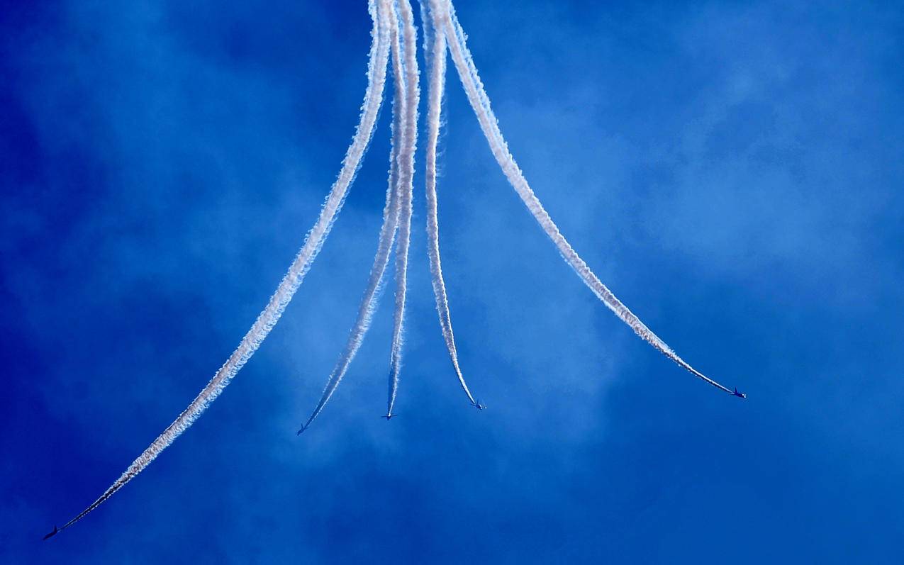 potato下载官网版最新版本_potato下载官网版最新版本2021苹果 - skype相关 - 55dz账号网