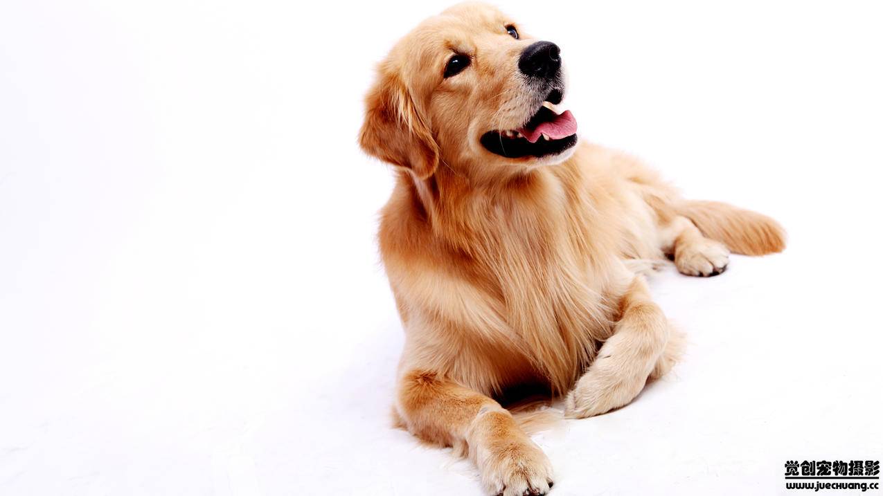 ins注册好了登不上去不能再其他手机上登陆_ins账号登陆不上去怎么办 - INS相关 - 55dz账号网