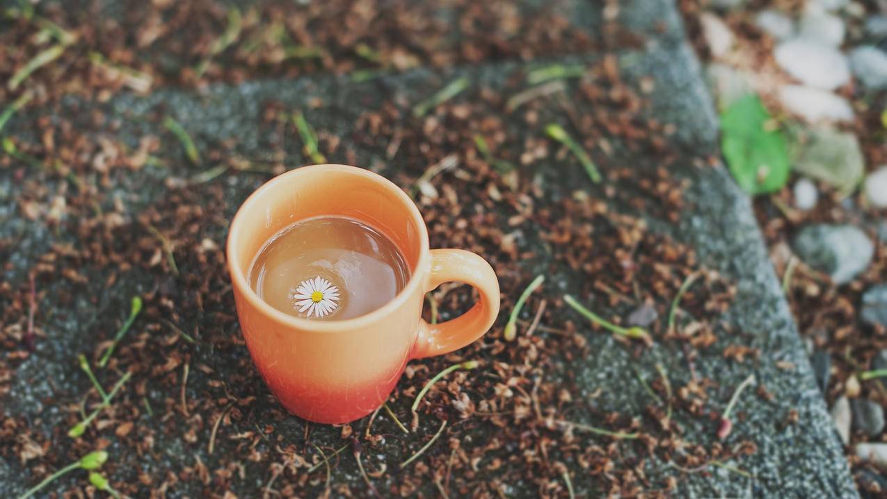 抖音粉丝团观看20分钟封顶吗  ( 抖音粉丝团等级有上限吗? ) - 55dz账号网