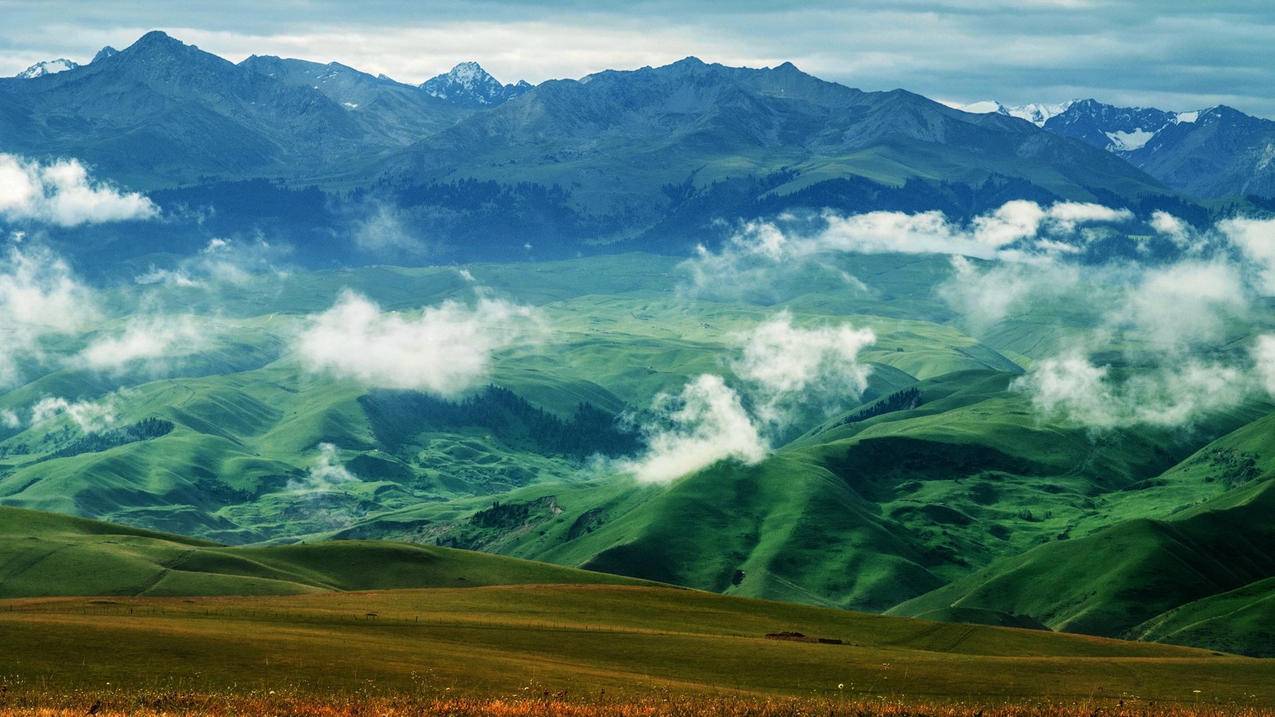 台湾appleid不符合最低年龄要求_appleid最低年龄要求 - 台湾苹果ID - 55dz账号网