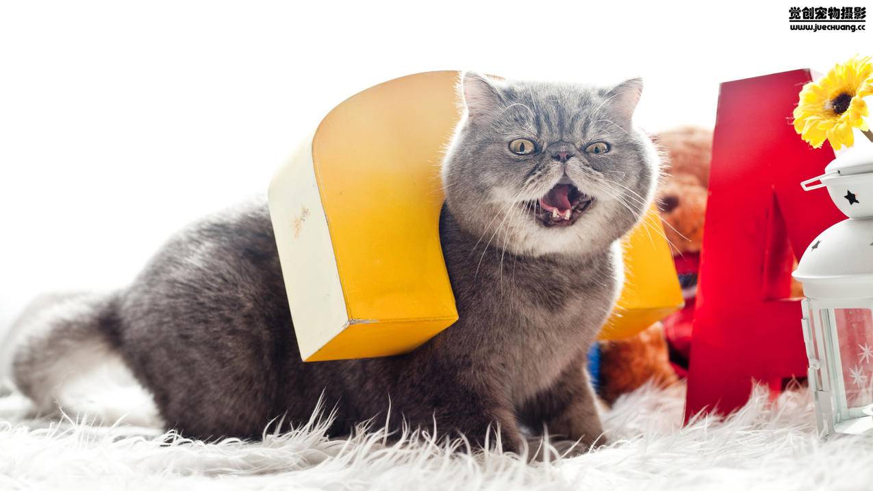 创建美国苹果id电子邮件地址是什么意思_创建美国苹果id的电子邮件怎么填 - 美国苹果ID - 55dz账号网