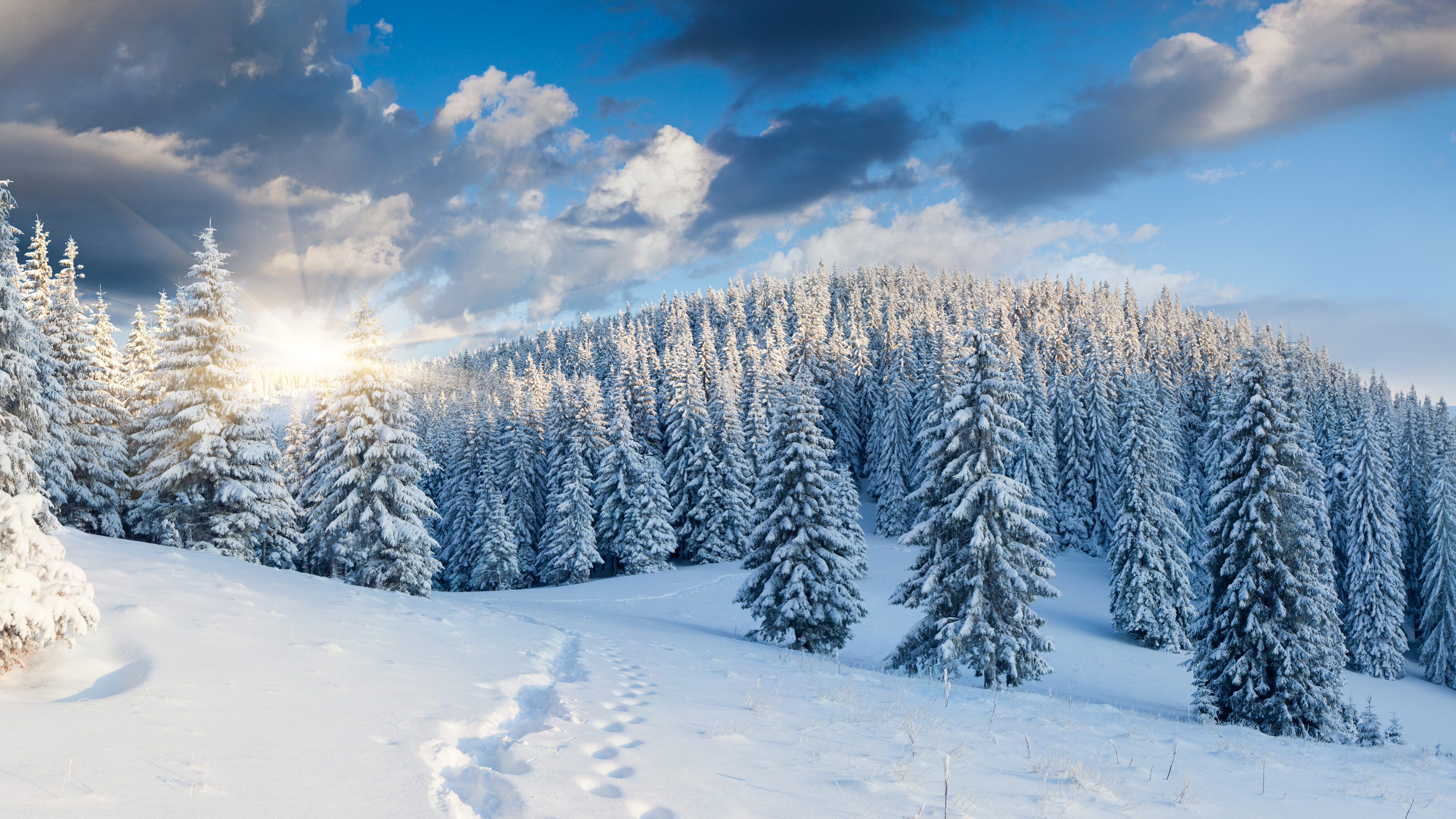 云便签是什么软件_云便签安卓版 - gmail相关 - 55dz账号网