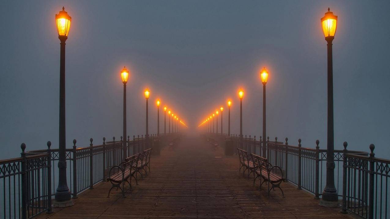 notability分成两栏_notability怎么分成两栏 - IOS分享 - 55dz账号网