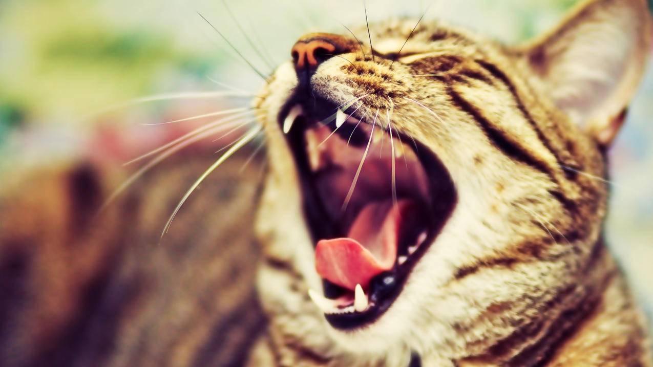 苹果x怎么换appleid_苹果x怎么换开机密码 - 各区苹果ID - 55dz账号网