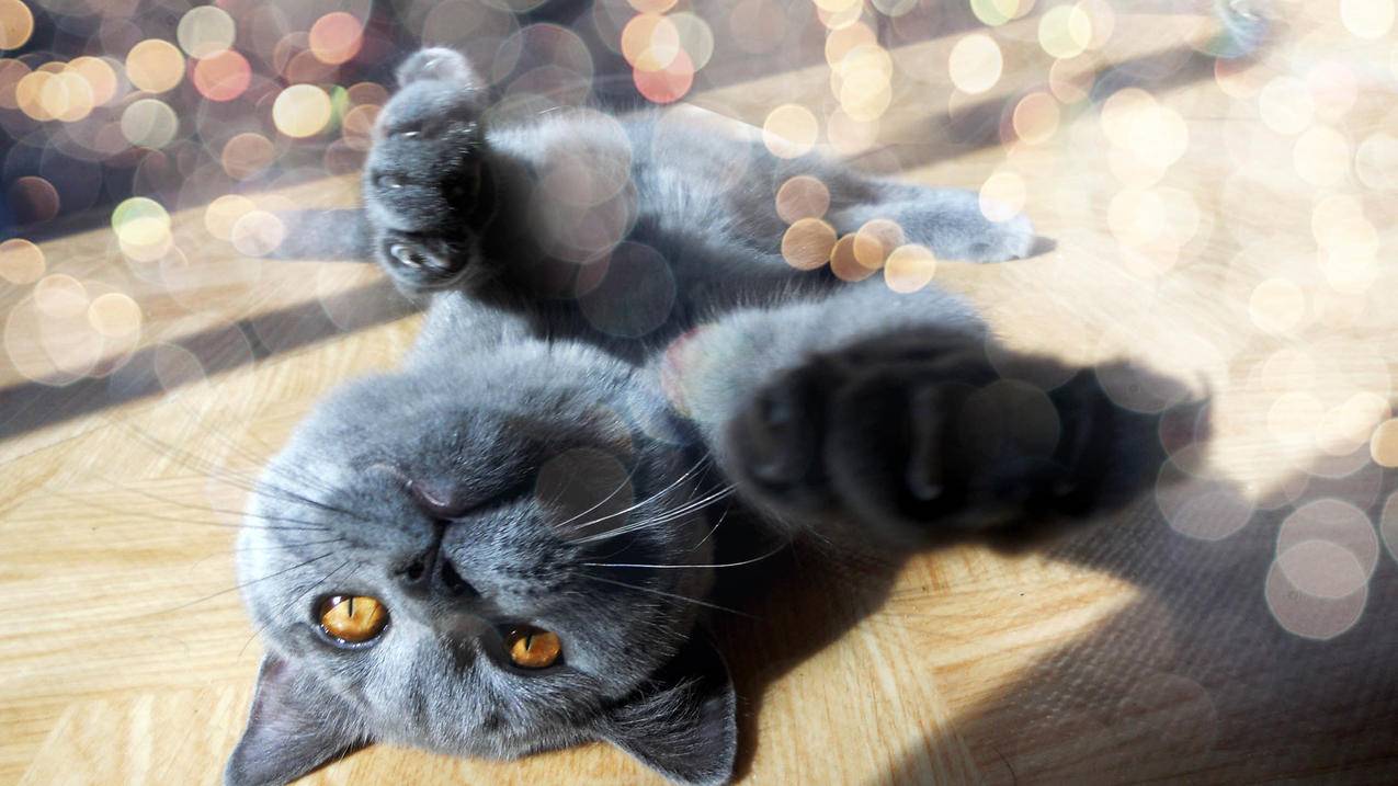 油管怎么删除自己创建的频道_油管如何创建频道 - youtube相关 - 55dz账号网