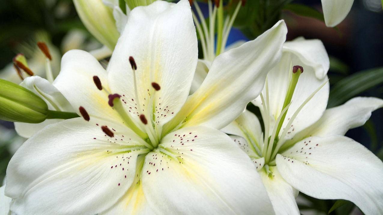 clash配置不了_clash配置不了安卓 - clash相关 - 55dz账号网