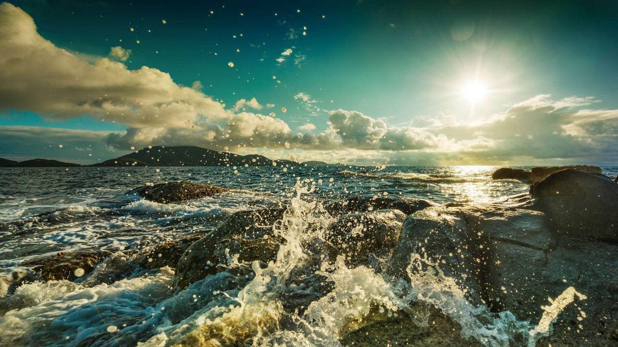 忘记了自己的越南apple id怎么办（忘记了apple ID怎么办） - 各区苹果ID - 55dz账号网