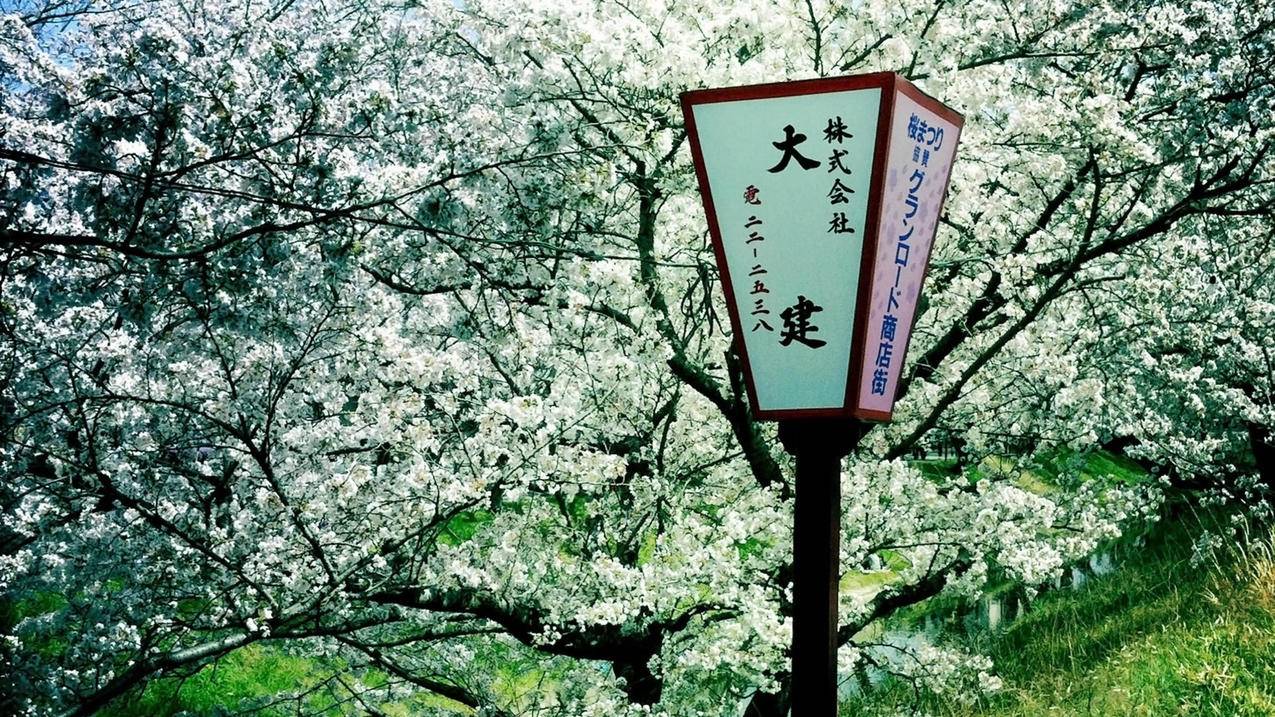 魔兽世界 在AH倒卖什么挣钱快?  ( WOW虚空火箭哪里买? ) - 55dz账号网