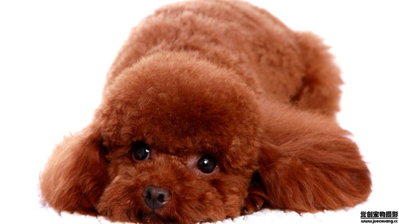 更新appleid设置是什么意思_更新iphoneid设置什么意思 - 美国苹果ID - 55dz账号网