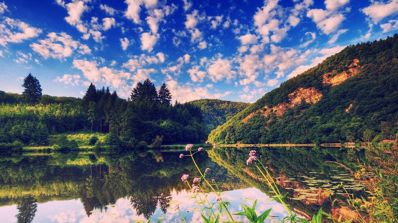 苹果手机ID为什么显示在另一台设备上 ， 苹果手机换了apple id登陆不上怎么办?  - 55dz账号网