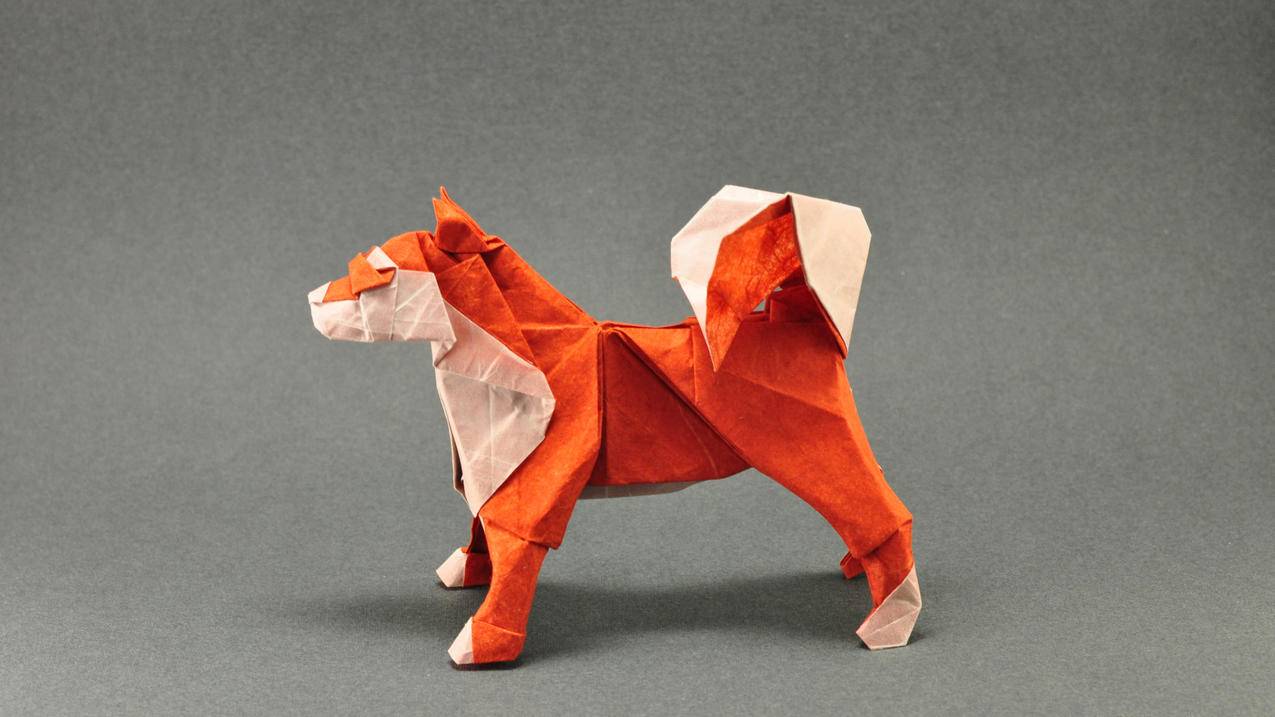 苹果手机，要是忘记了appleid要怎么办？ - Apple ID相关 - 55dz账号网