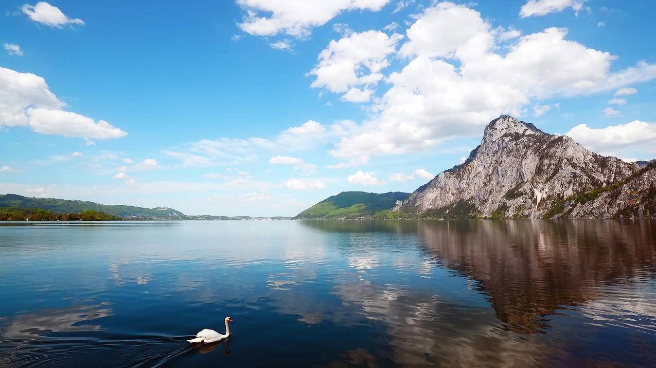 怎样下载ins社交软件_安卓怎么下载ins社交软件 - INS相关 - 55dz账号网