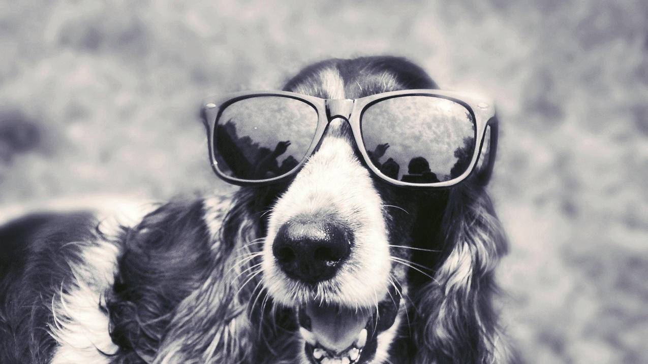 无用功的事是什么意思_做什么都是无用功是什么意思 - skype相关 - 55dz账号网