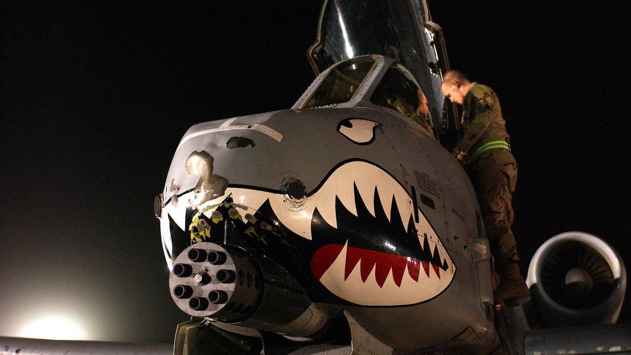 zoom手机下载不了_安卓不能下载zoom吗 - zoom相关 - 55dz账号网