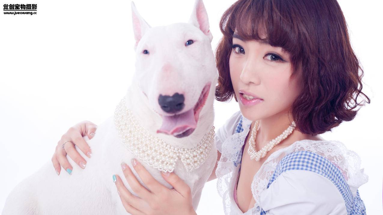 苹果id免费账号密码大全20224月_iphone id账号密码大全最新 - 美国苹果ID - 55dz账号网