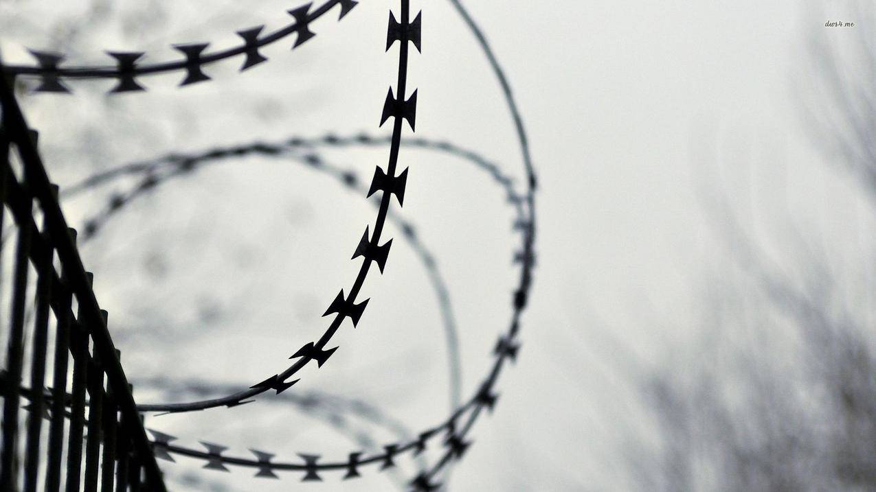 pro词根词缀什么意思_Pro的词根 - messenger相关 - 55dz账号网