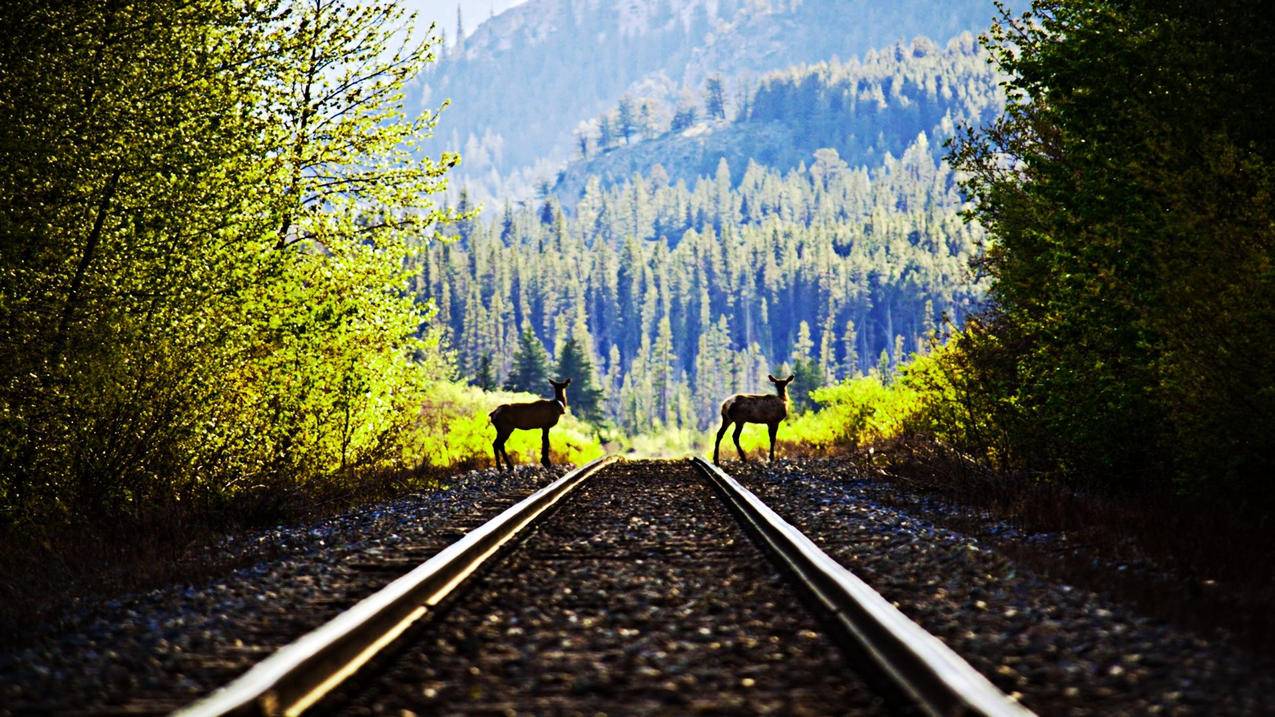 notability如何编辑主题_notability更改主题 - IOS分享 - 55dz账号网