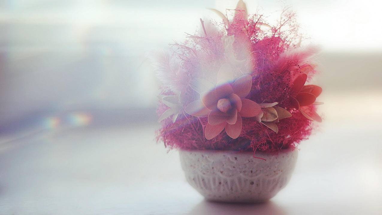 卡飞乐自助下单平台 - 快手一元1000点赞