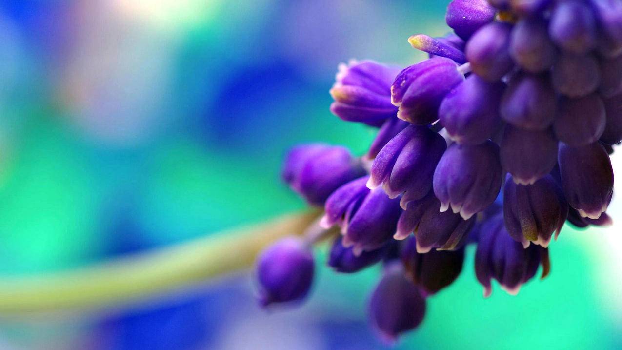 韩国苹果id手机号忘了密码怎么办_韩版苹果手机id密码忘了怎么办 - 韩国苹果id - 55dz账号网