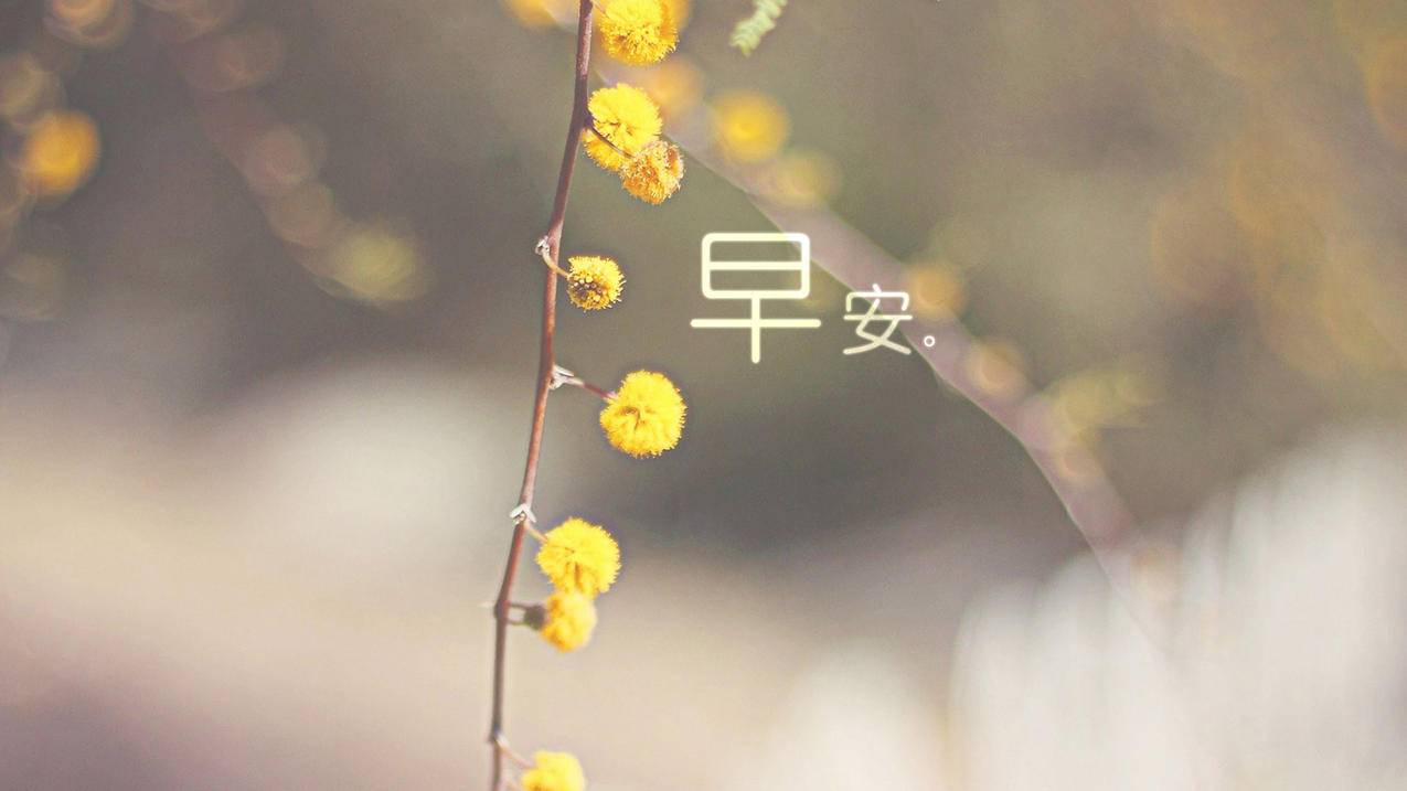 美服苹果id可以用qq邮箱找回_美服苹果id可以用邮箱找回嘛 - 美国苹果ID - 55dz账号网