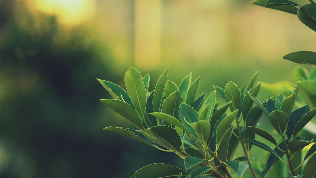 安卓clash配置url下载失败_clash配置不了 - clash相关 - 55dz账号网