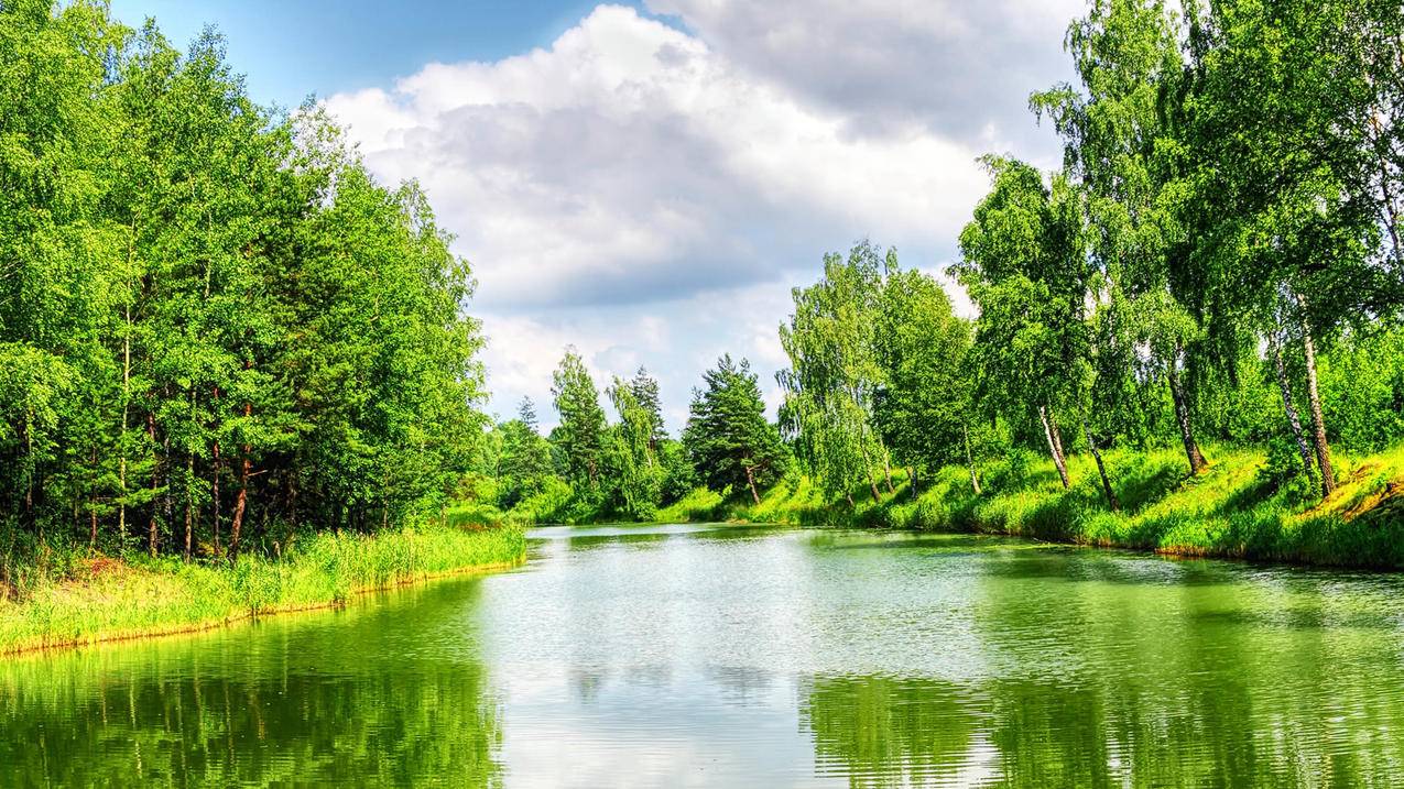 nba2k21攻防俱佳型终结者_2k21内线终结者 - IOS分享 - 55dz账号网